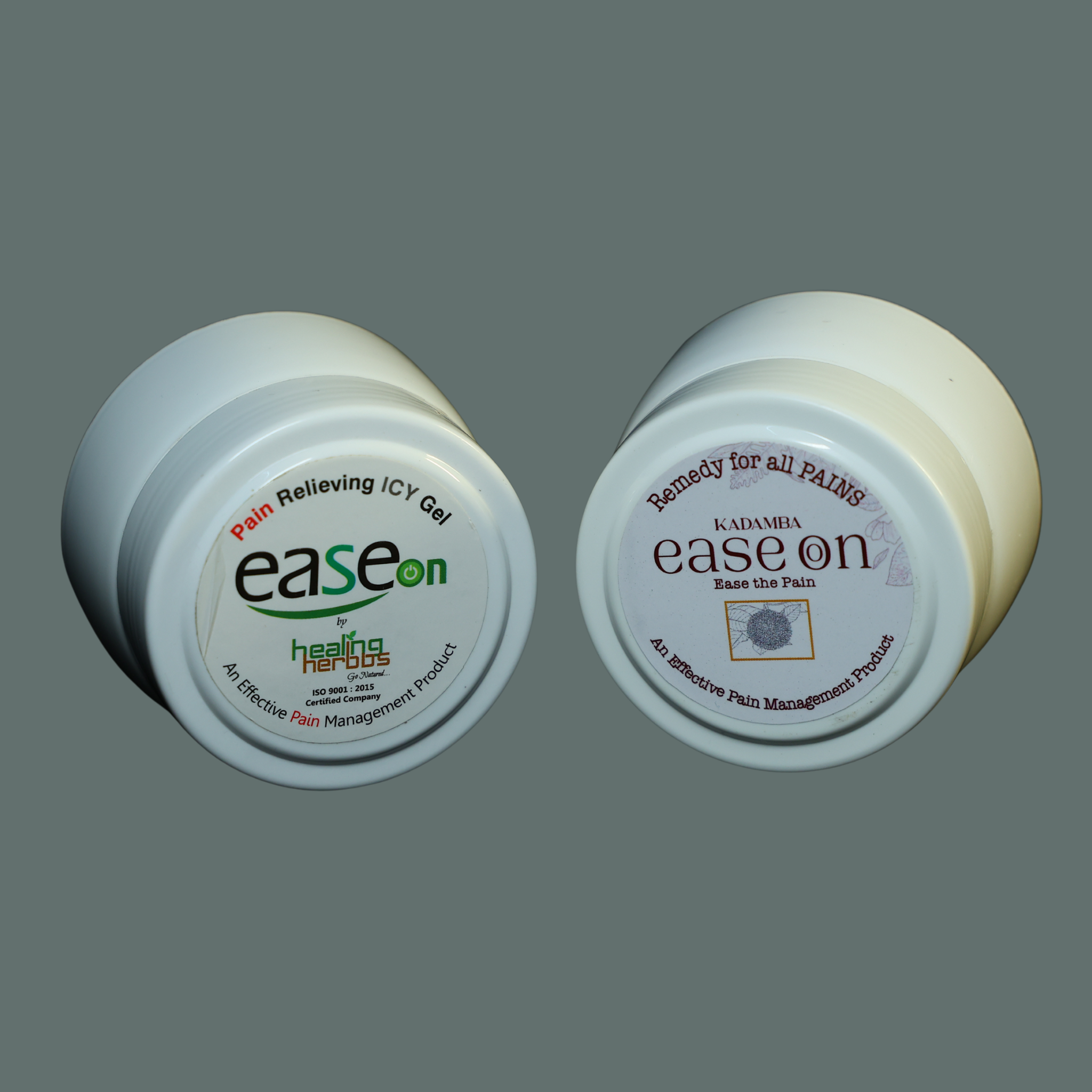 EaseOn - Natural Icy Pain Relieve Gel for Knee and Back Pain